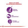 Imagen de ALIMENTO BALANCEADOS GATOS SENSIBLE X 1,5 KG