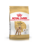 Imagen de ALIMENTO BALANCEADO PERROS CANICHE ADULTO  x 3 KG