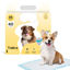 Imagen de ACCESORIOS PARA MASCOTAS - PEMX40U PAÑO ENTRENAMIENTO BEEPAW TRAIN -E MEDIUM X 40 U