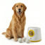 Imagen de ACCESORIOS PARA MASCOTAS - JLPBSE2,0A LANZAPELOTAS INTERACTIVO SHOOT-E 2,0 AMARILLO