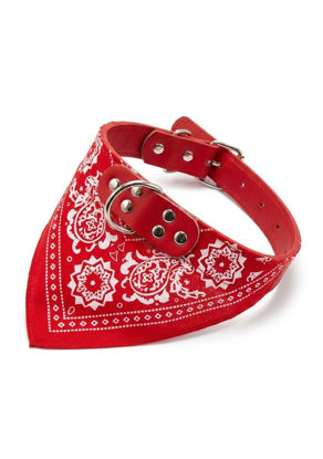 Imagen de ACCESORIOS PARA MASCOTAS COLLAR CON PAÑUELO GRANDE
